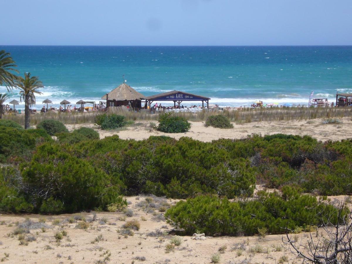 Descansa Y Disfruta De Las Mejores Playas Arenales del Sol Εξωτερικό φωτογραφία
