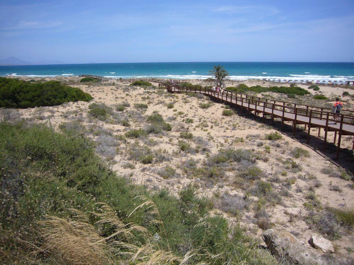 Descansa Y Disfruta De Las Mejores Playas Arenales del Sol Εξωτερικό φωτογραφία